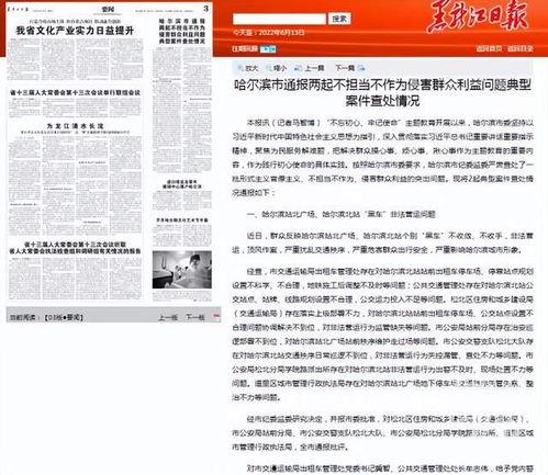 哈尔滨网约车爆料事件最新,司机与乘客冲突引发社会关注  第2张